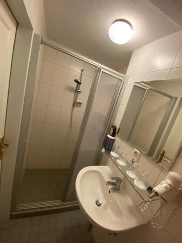 Hotel Wildschuetz Basic Altmünster Extérieur photo