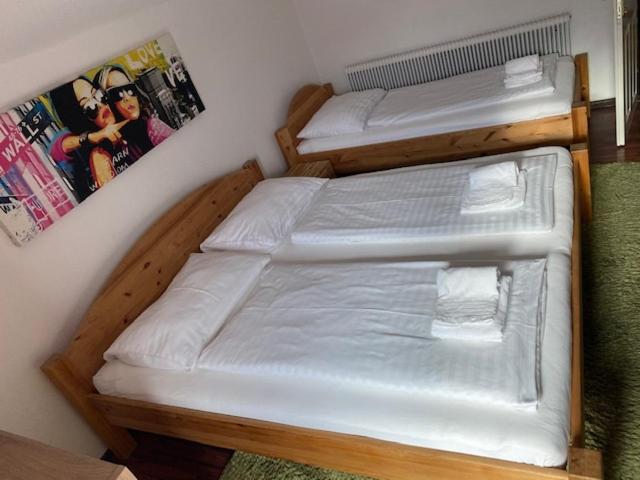 Hotel Wildschuetz Basic Altmünster Extérieur photo