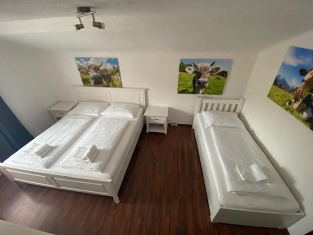 Hotel Wildschuetz Basic Altmünster Extérieur photo